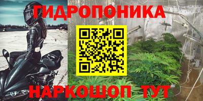 a pvp Краснокаменск